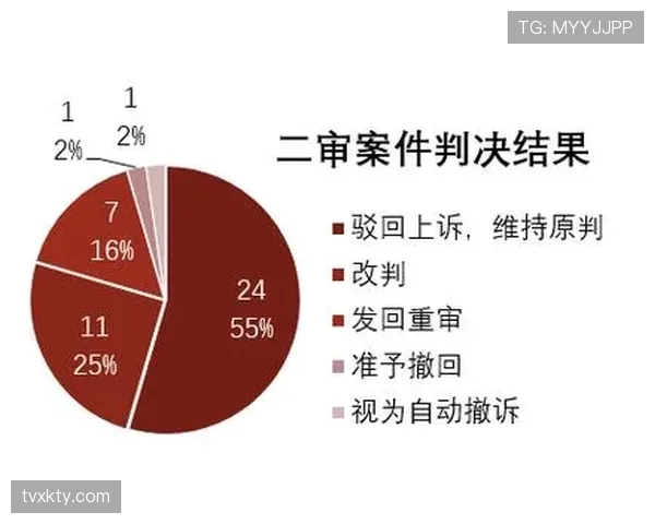 裁判报告在足球比赛中如何规范记录判罚细节与规则执行